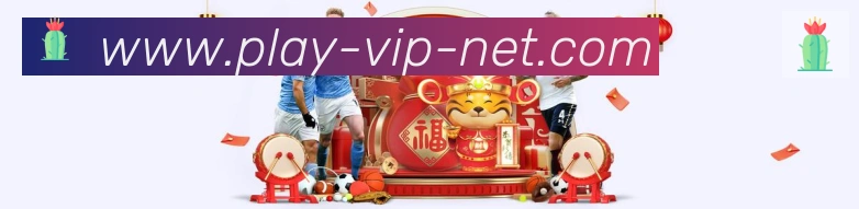 未来规划